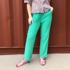 Lollys Laundry buks - Bill green