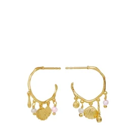 Maanesten øreringe - 9994A Eve guldbelagt