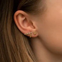 Stine A ørestik - 1030 Petit Shell guldbelagt